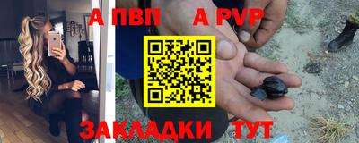 стаф Кунгур