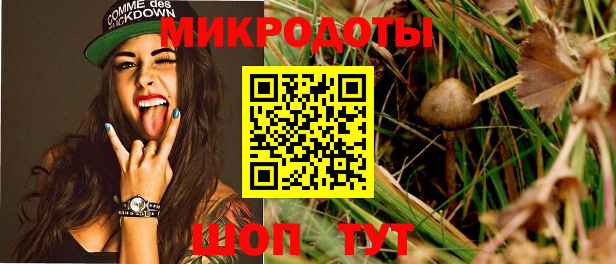 Галлюциногенные грибы прущие грибы Кимовск
